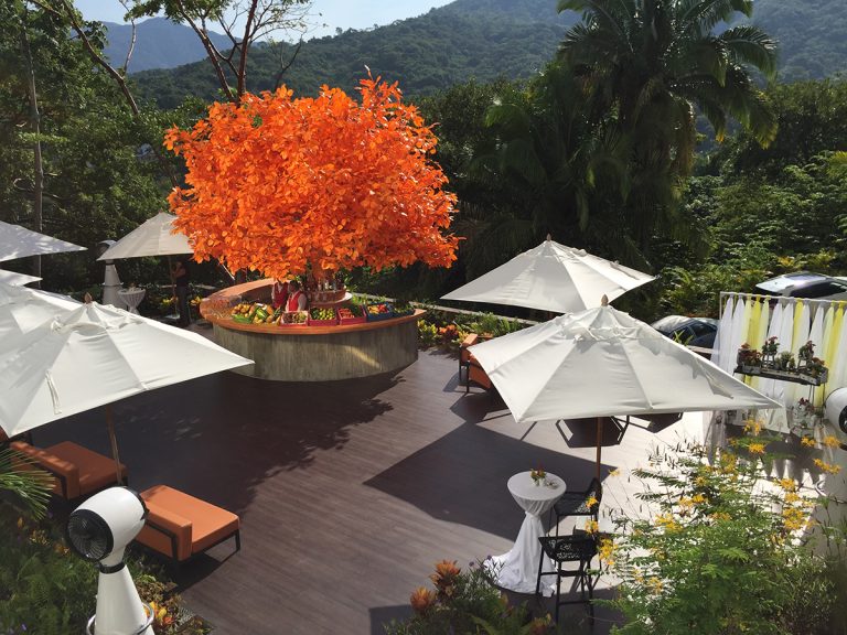 Hotel Mousai's Orange Deck - Puerto Vallarta||orange tree