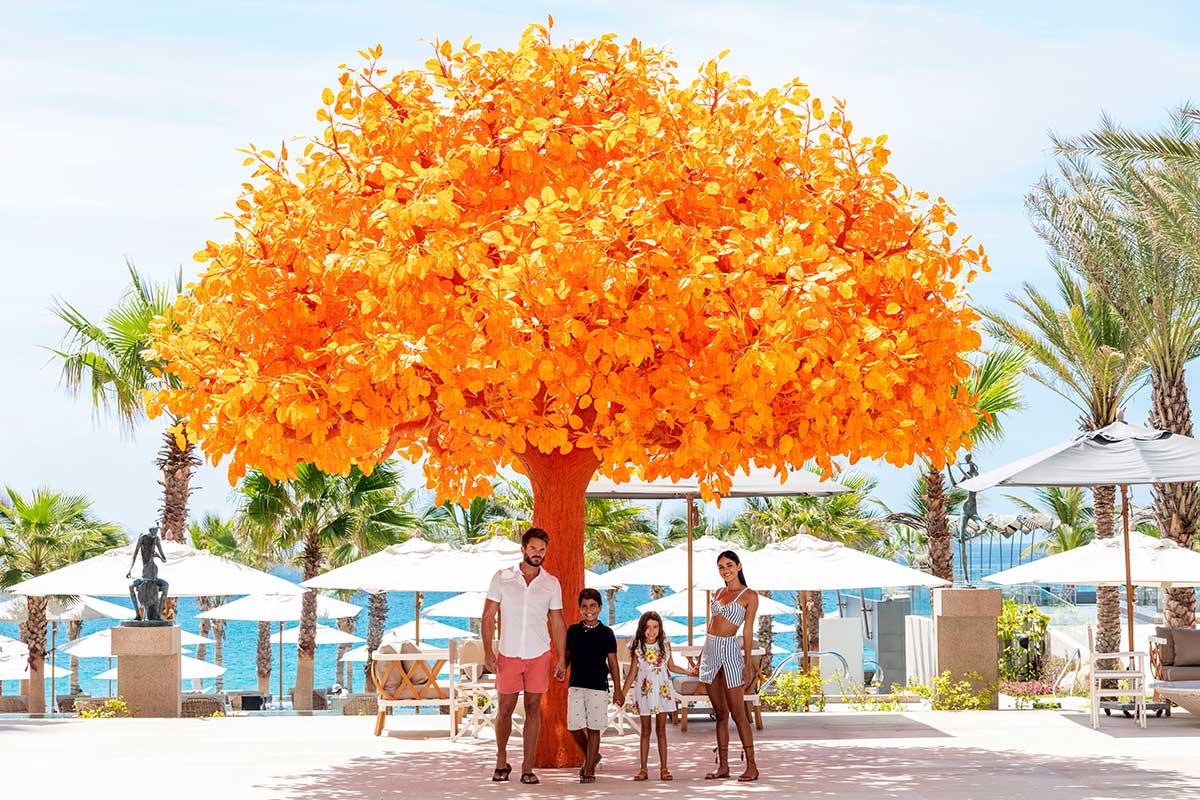 orange tree los cabos