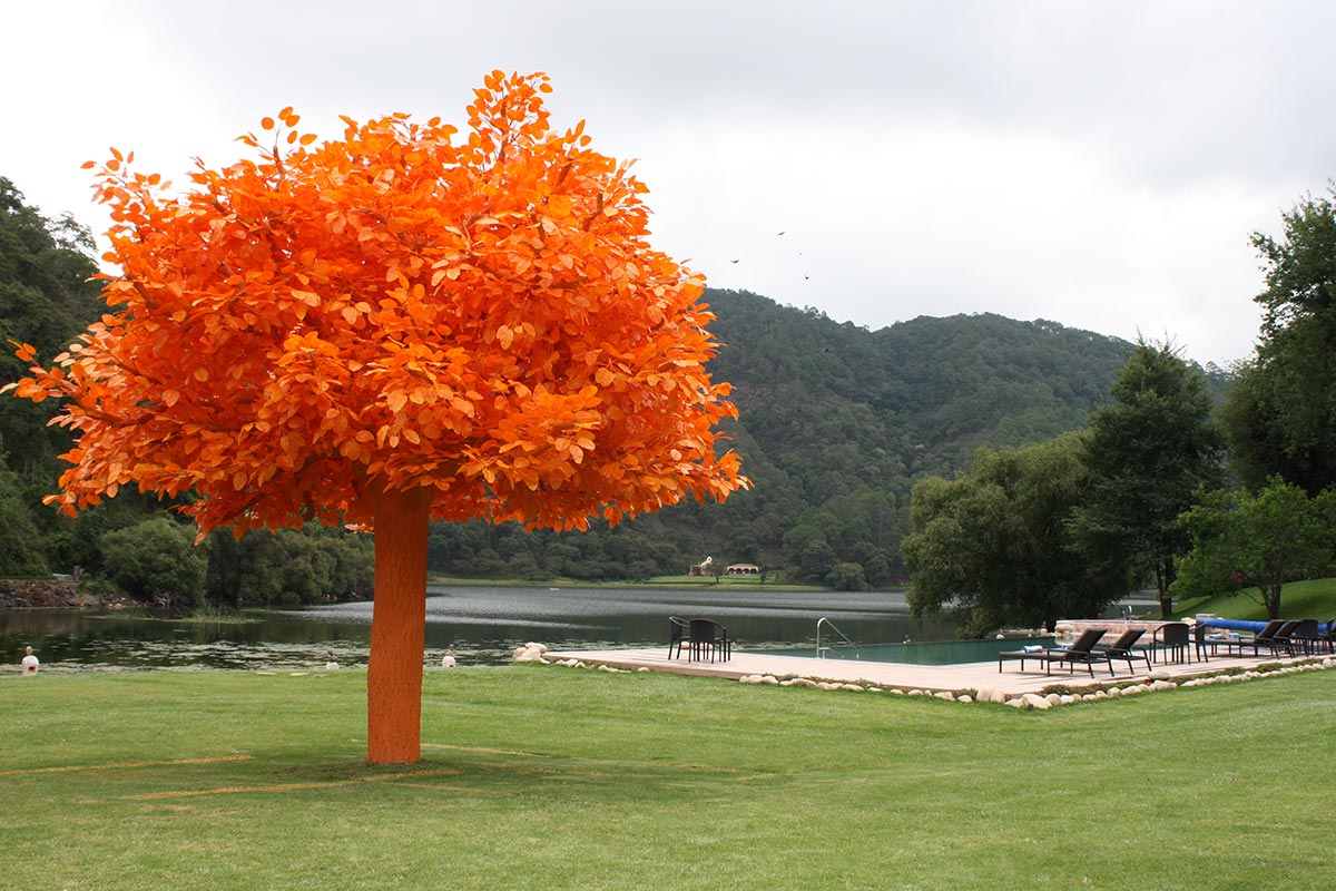 sierra lago resort orange tree