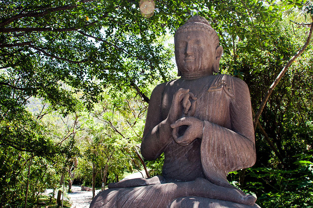 zen walk vallarta|How to use the route as a walking meditation?|Know thyself!|The ZenWalk at Hotel Mousai|The zen walk