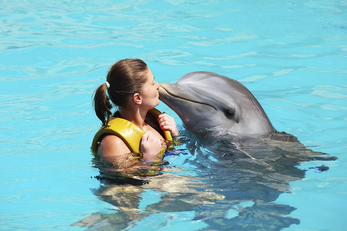 Swimming with Dolphins on your Puerto Vallarta Vacation