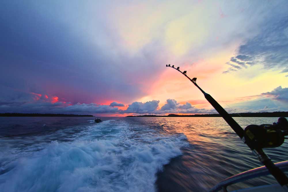 ||Puerto Vallarta Fishing Tours