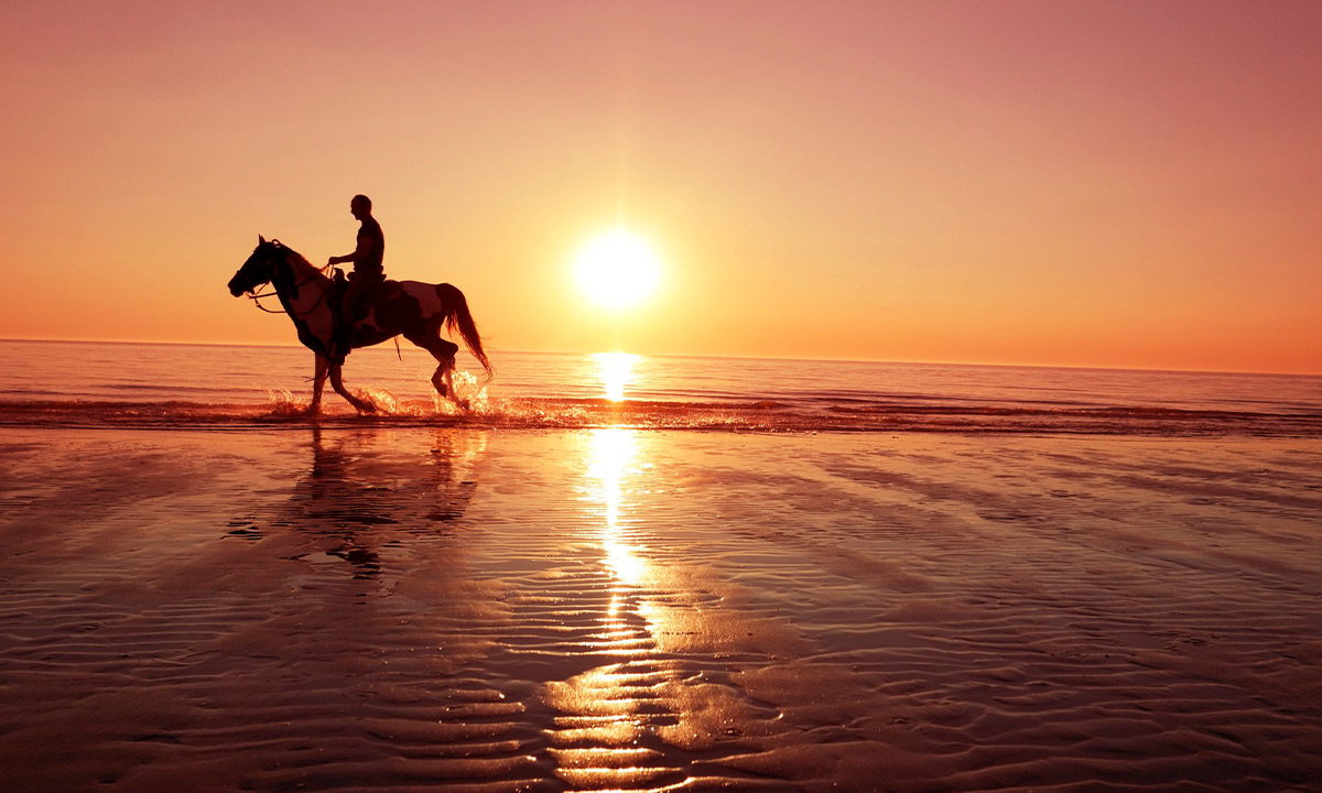 horseback riding in puerto vallarta
